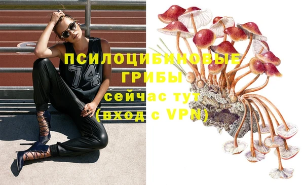 амфетамин Алексин