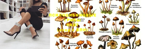 каннабис Алзамай