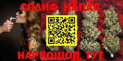 гидропоника Кулебаки