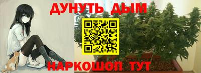 гидропоника Кулебаки