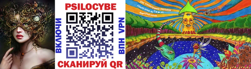hydra ONION  Егорьевск  Псилоцибиновые грибы MAGIC MUSHROOMS 