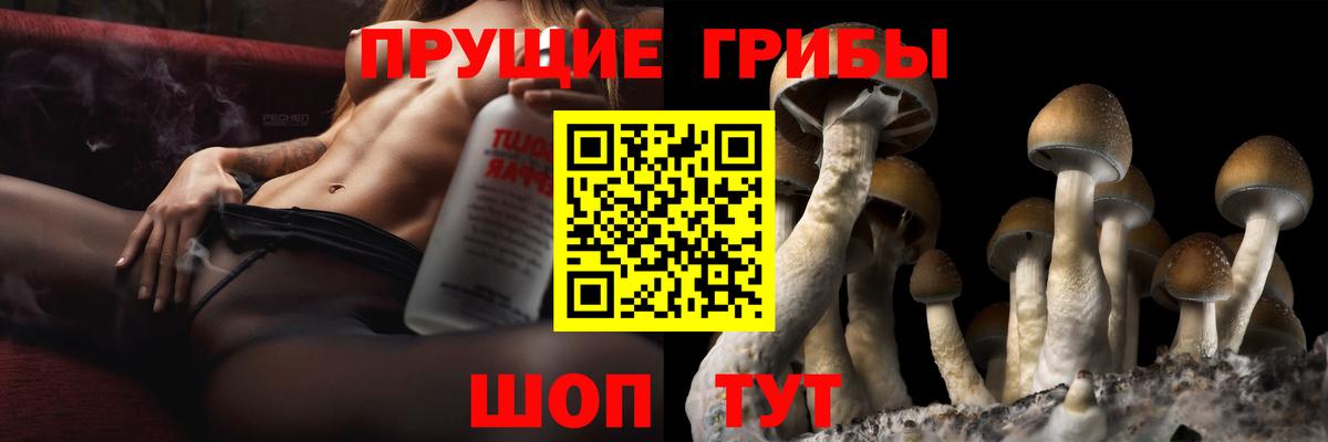Псилоцибиновые грибы ЛСД Егорьевск